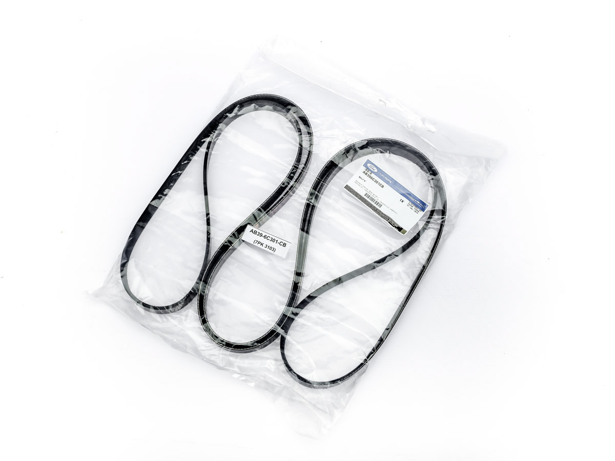 CORREA MOTOR, , large image number 1